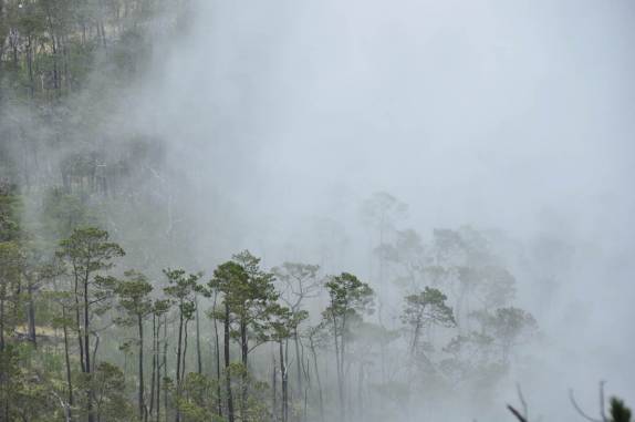 Muita névoa na subida do Pico Duarte, na  República Dominicana